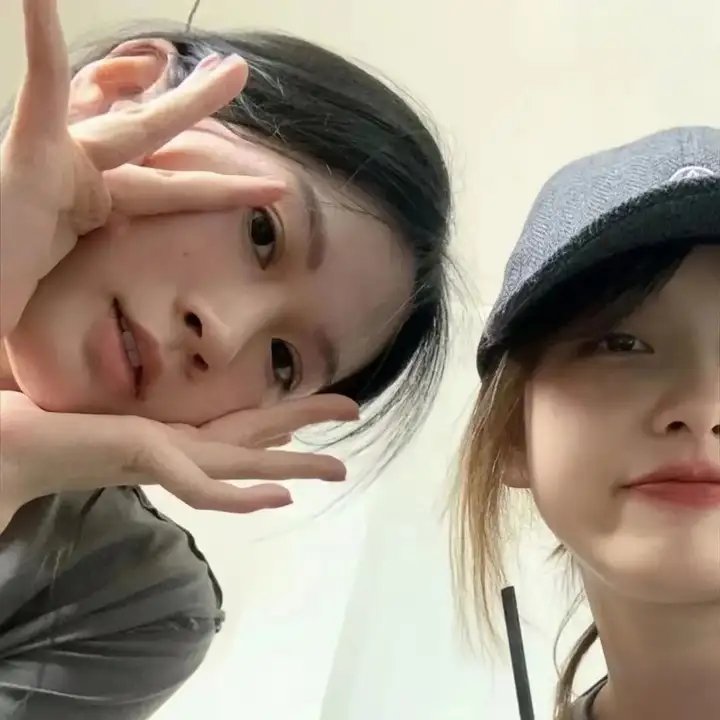 全面搜寻圣诞狗狗